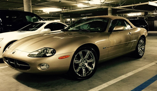 Show Champion Winning XK8 4.2 in the USA